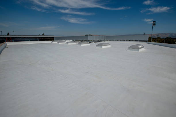 Best Hot Roofs  in , MD