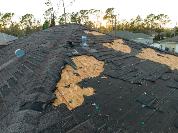 Best Roof Maintenance and Cleaning  in , MD