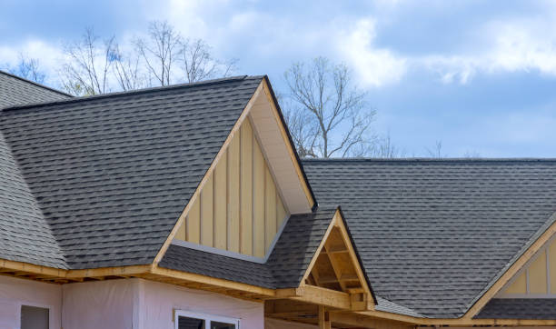 Best Skylight Installation and Repair  in , MD