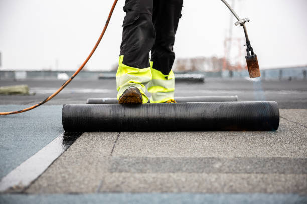 Best Roof Coating and Sealing  in , MD