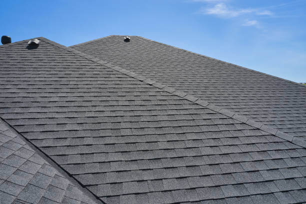 Best Skylight Installation and Repair  in , MD