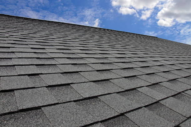 Best Storm Damage Roof Repair  in , MD
